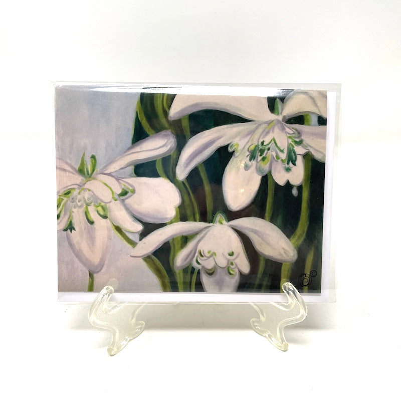 Winter Note Card Collection