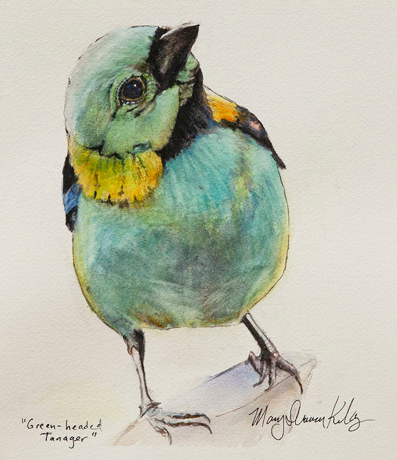Notecard - Birds
