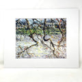 Art Print - Fringed Branches at Avondale Lake