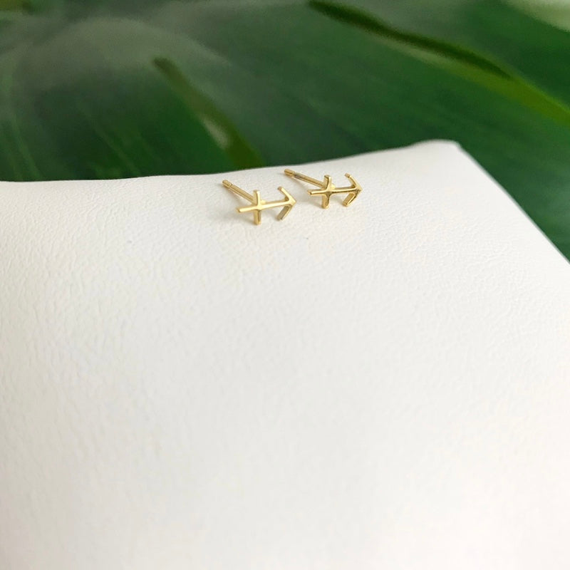 Zodiac Stud