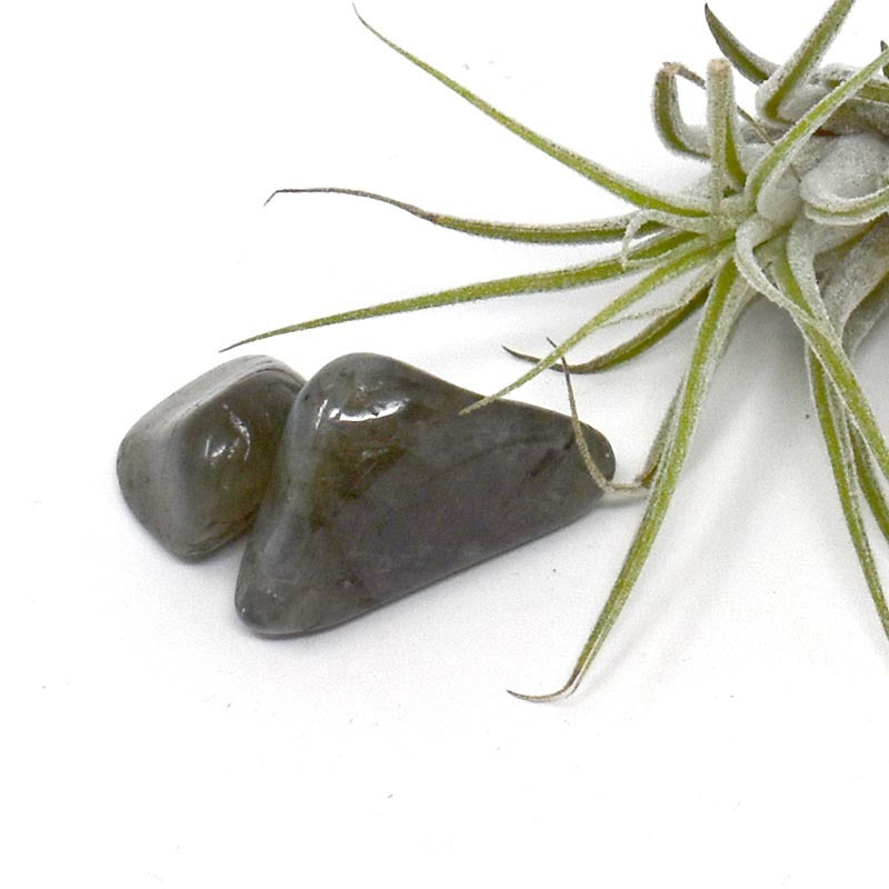 Labradorite - Tumbled Stone