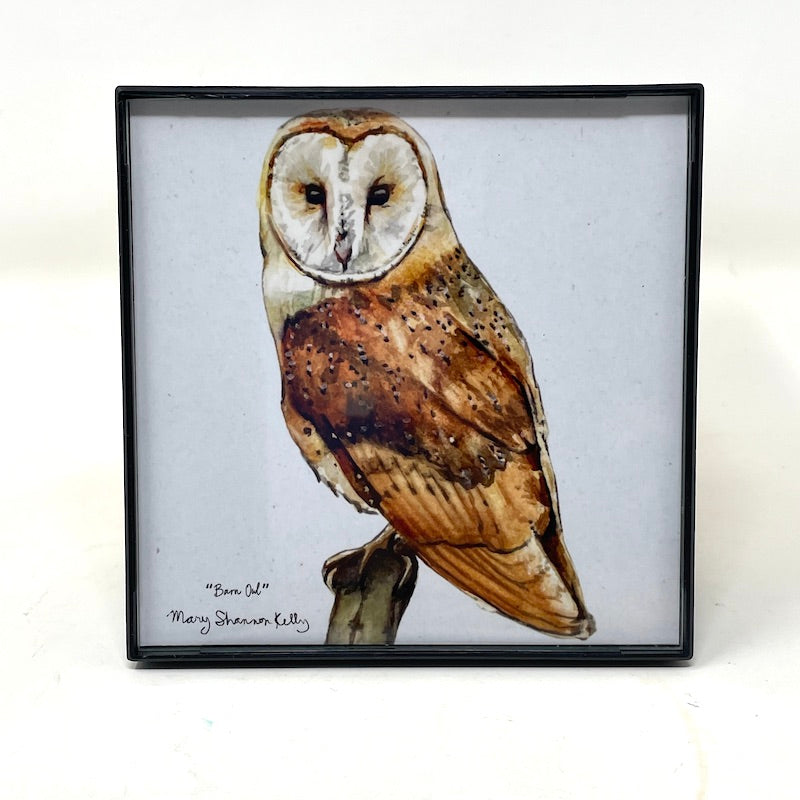 Framed Birds - 4x4