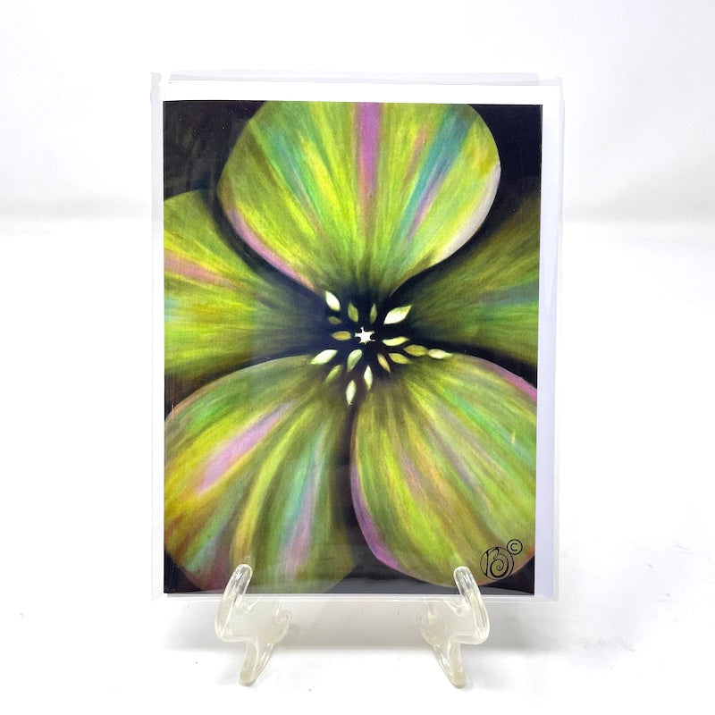 Winter Note Card Collection