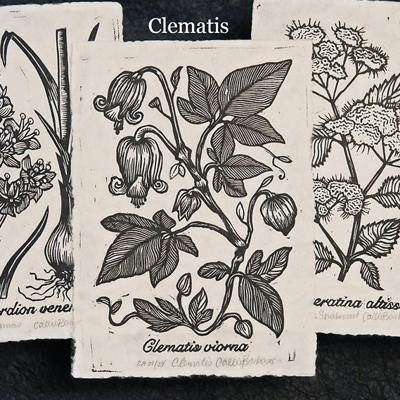 Block Print - Botanical