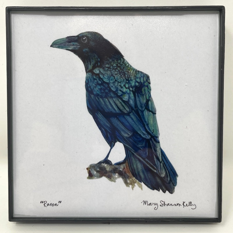 Framed Birds - 4x4