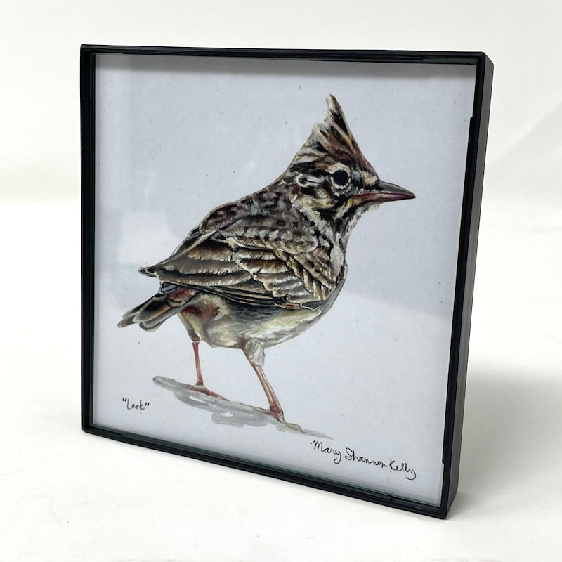Framed Birds - 4x4