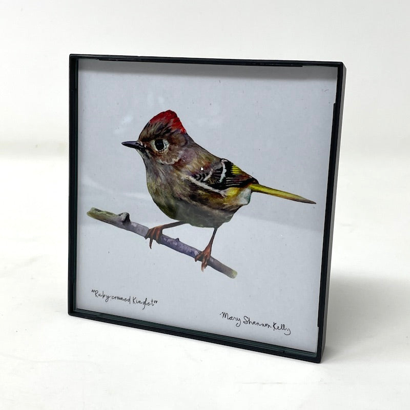 Framed Birds - 4x4