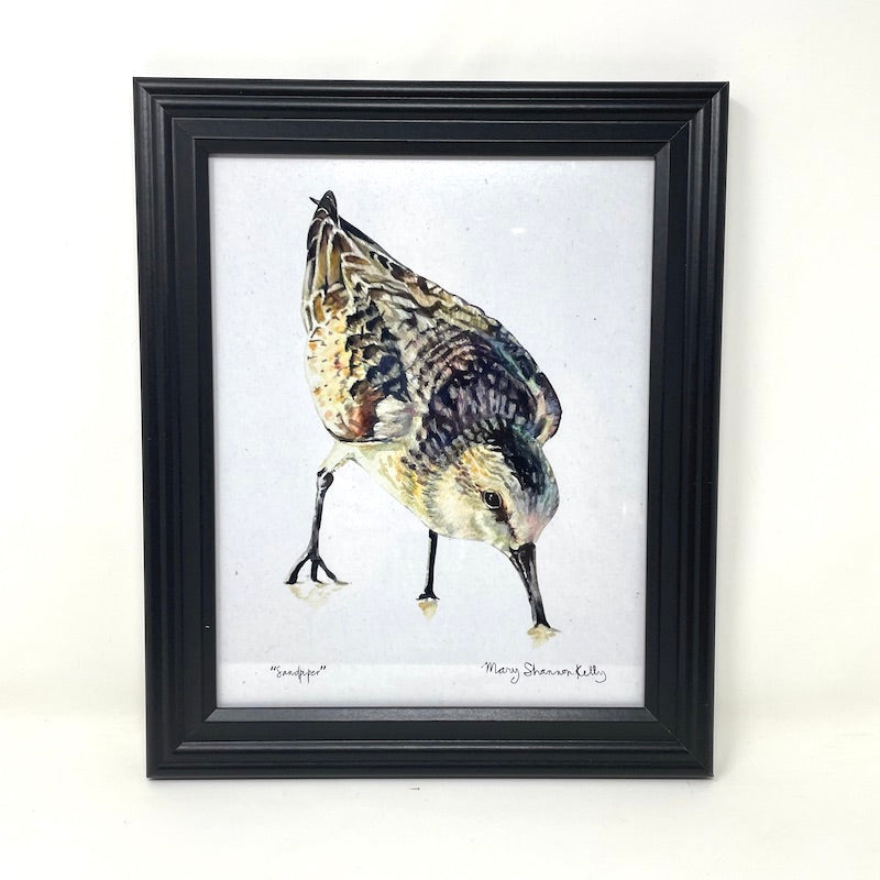 Framed Birds - 8x10