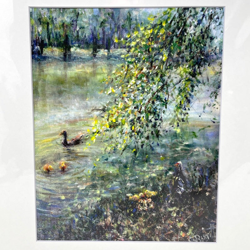 Art Print - Ducks Frolic on Avondale Lake