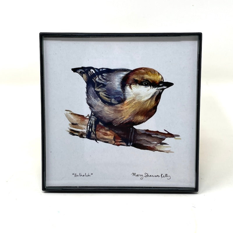 Framed Birds - 4x4