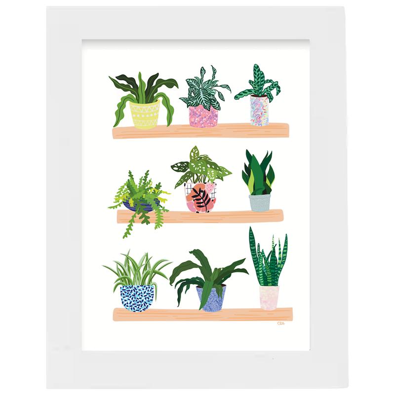 Mini Framed Prints