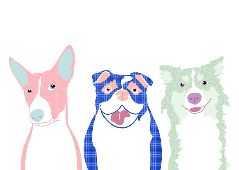 Print - Patterned Pups