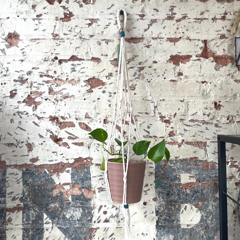 Macrame Plant Hanger