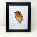 Framed Birds - 8x10