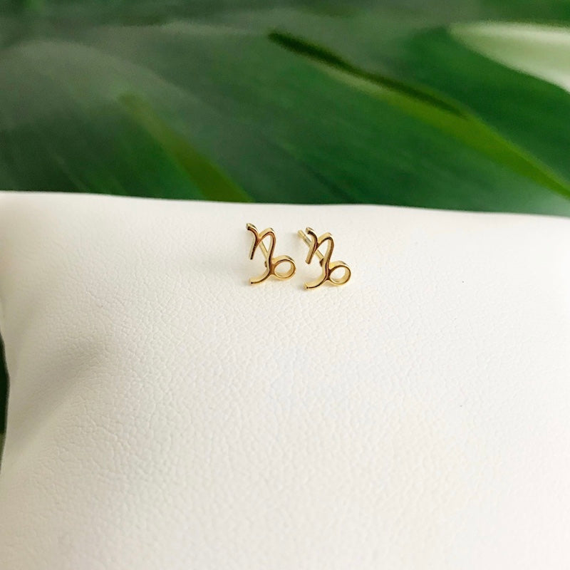 Zodiac Stud