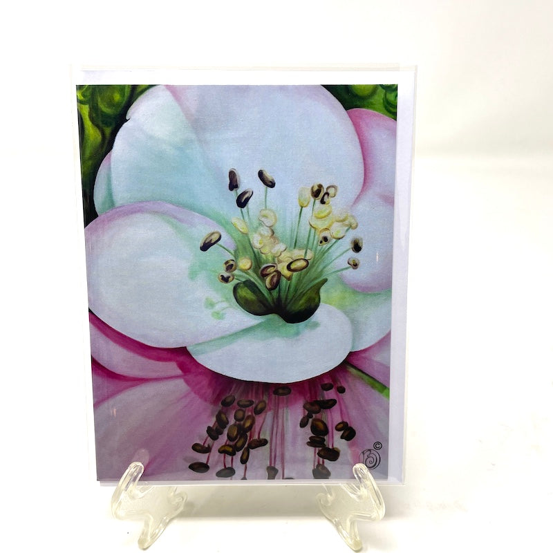Winter Note Card Collection