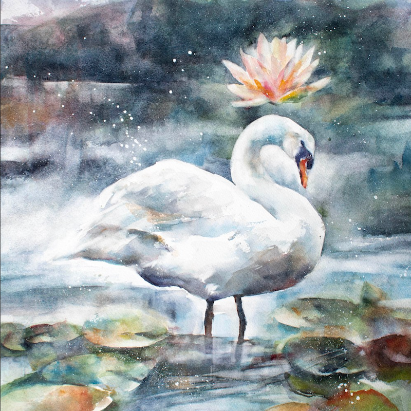 Original - Lotus Dream