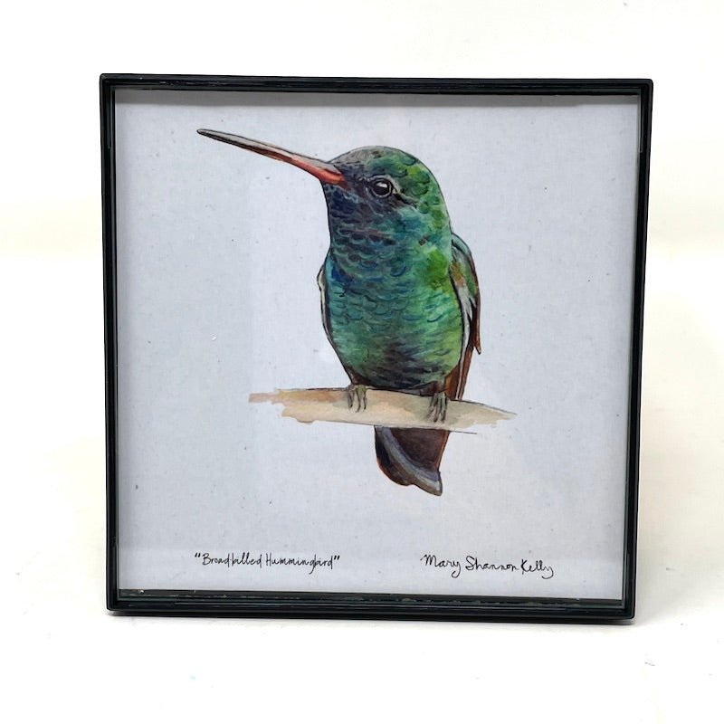 Framed Birds - 4x4