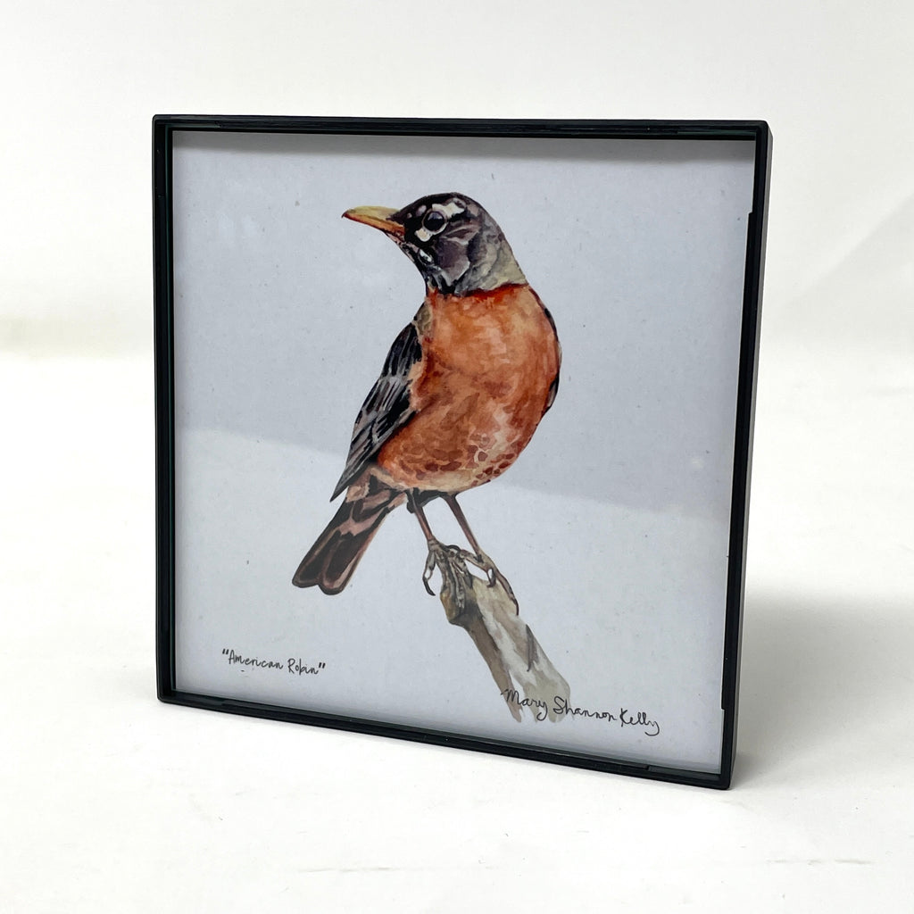 Framed Birds - 4x4