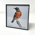 Framed Birds - 4x4
