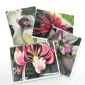 Spring|Summer Note Card Collection