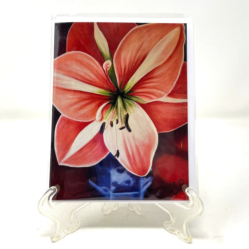 Winter Note Card Collection