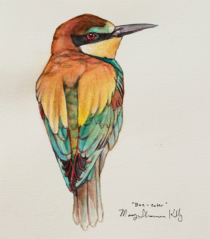 Notecard - Birds