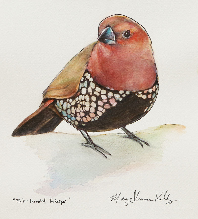 Notecard - Birds