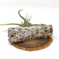 Sage Smudge Sticks