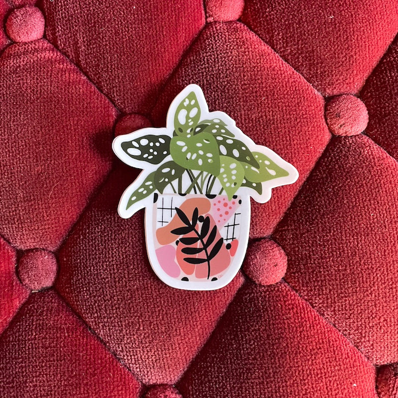 Sticker - Monstera
