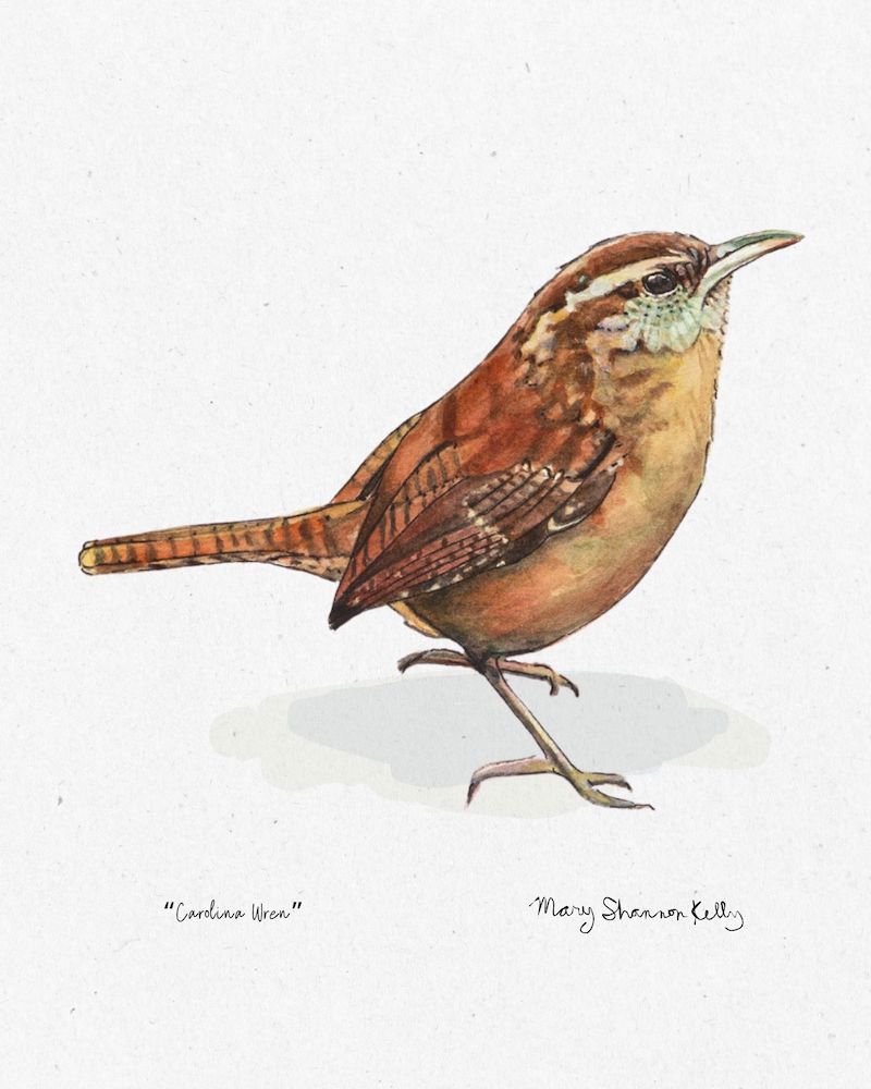Notecard - Birds