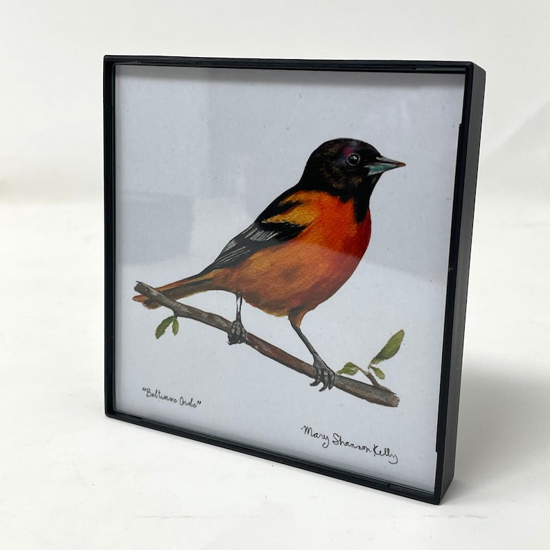 Framed Birds - 4x4