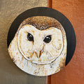 Wood Slice Original Painting - Barn Owl (Frank)