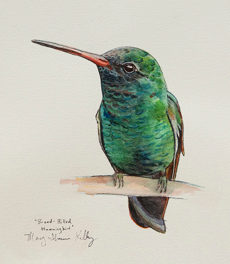Notecard - Birds