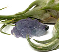 Fluorite - Purple Clear Cubic