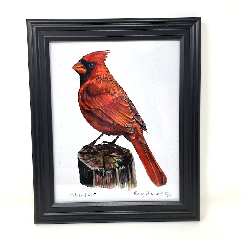 Framed Birds - 8x10
