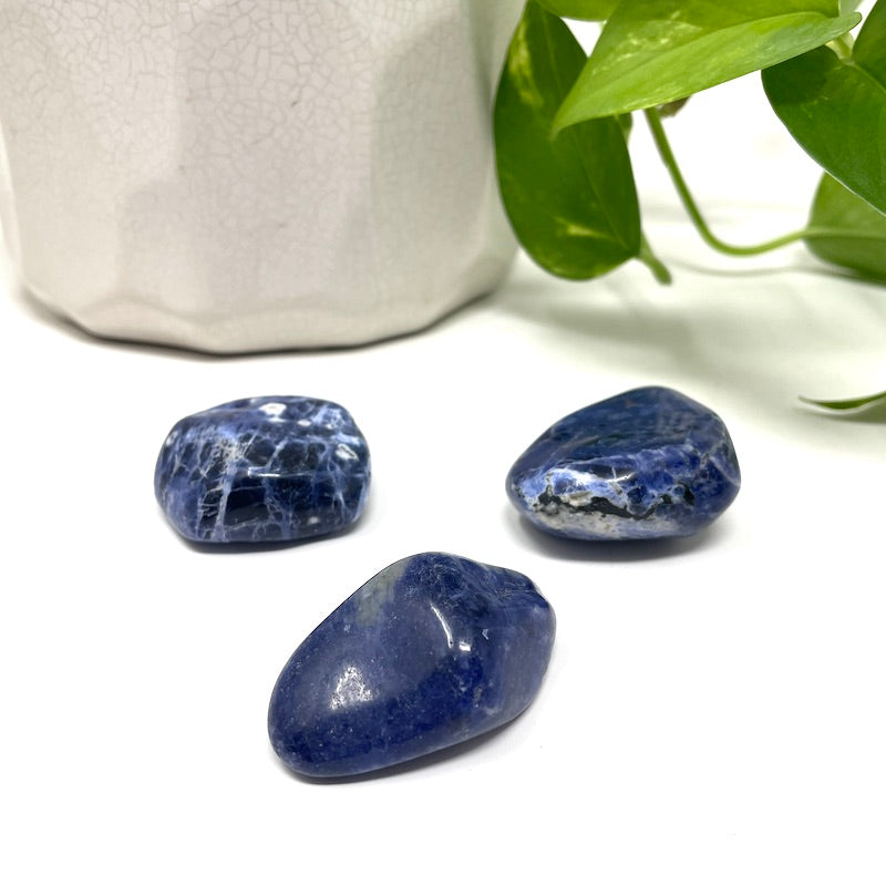 Sodalite - Tumbled Stone