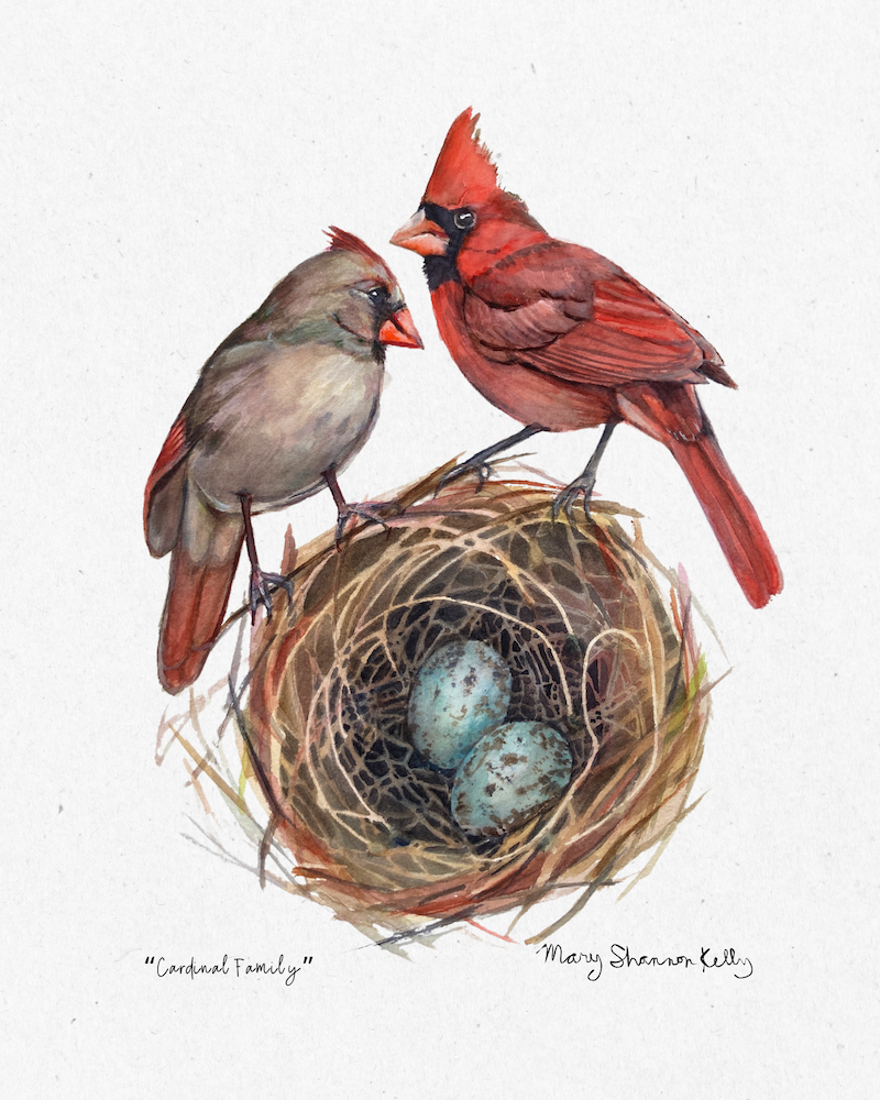 Notecard - Birds