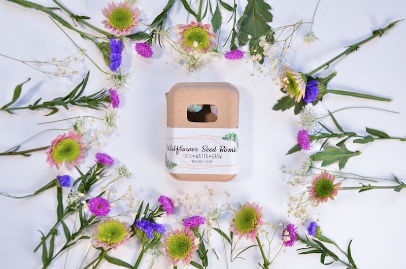 Seed Bomb | Wildflower