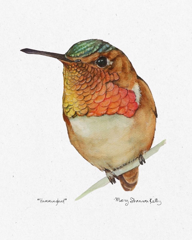 Print - Hummingbird