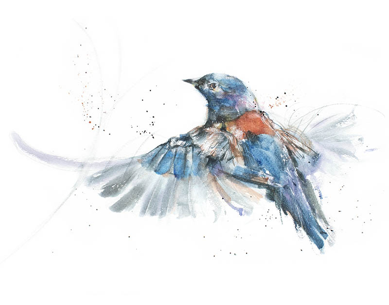 Art Print - Wings open and away