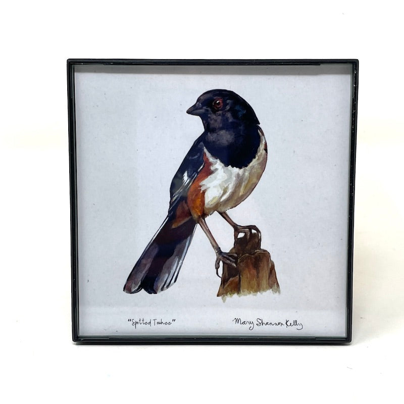 Framed Birds - 4x4