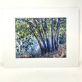 Art Print - Summer shimmers on Avondale Lake