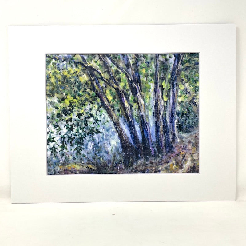 Art Print - Summer shimmers on Avondale Lake