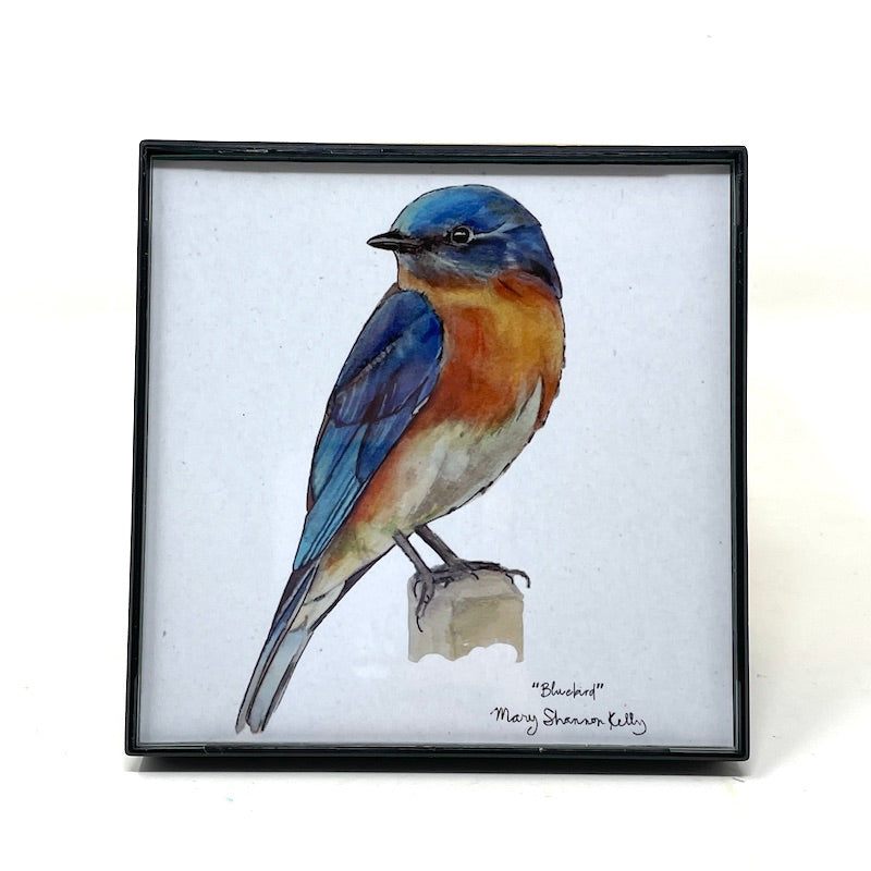 Framed Birds - 4x4