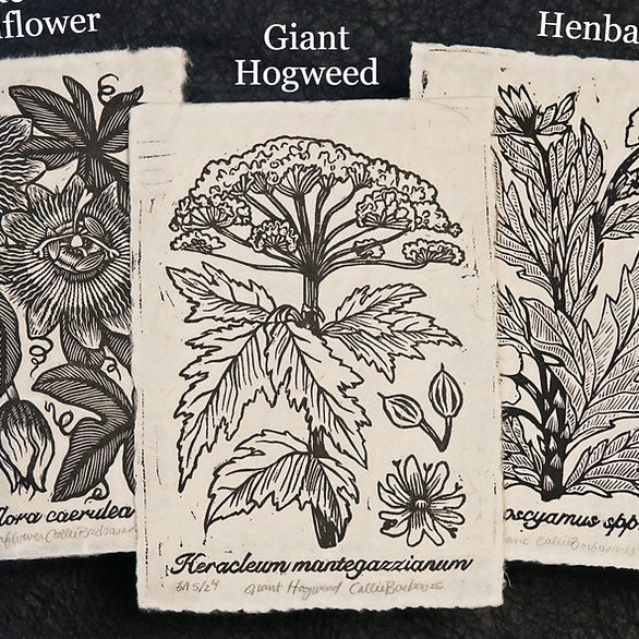 Block Print - Botanical