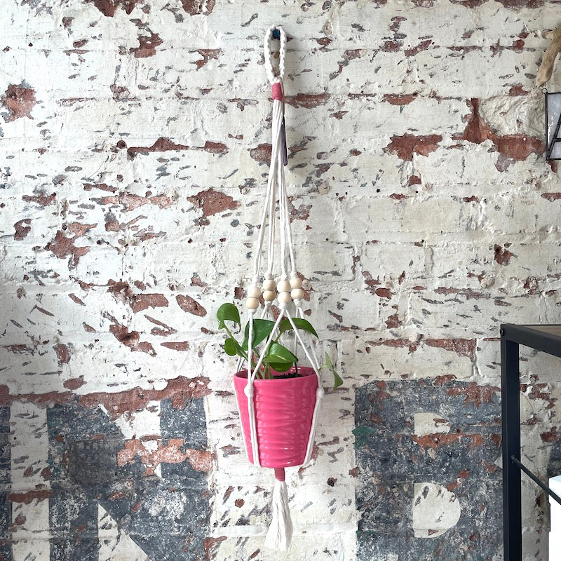 Macrame Plant Hanger