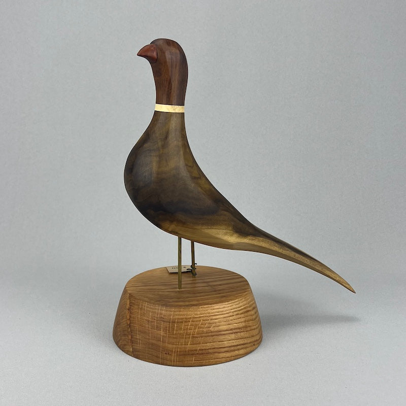 Pheasant