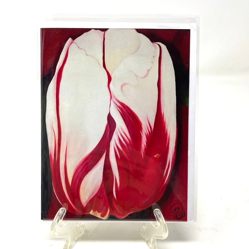 Winter Note Card Collection
