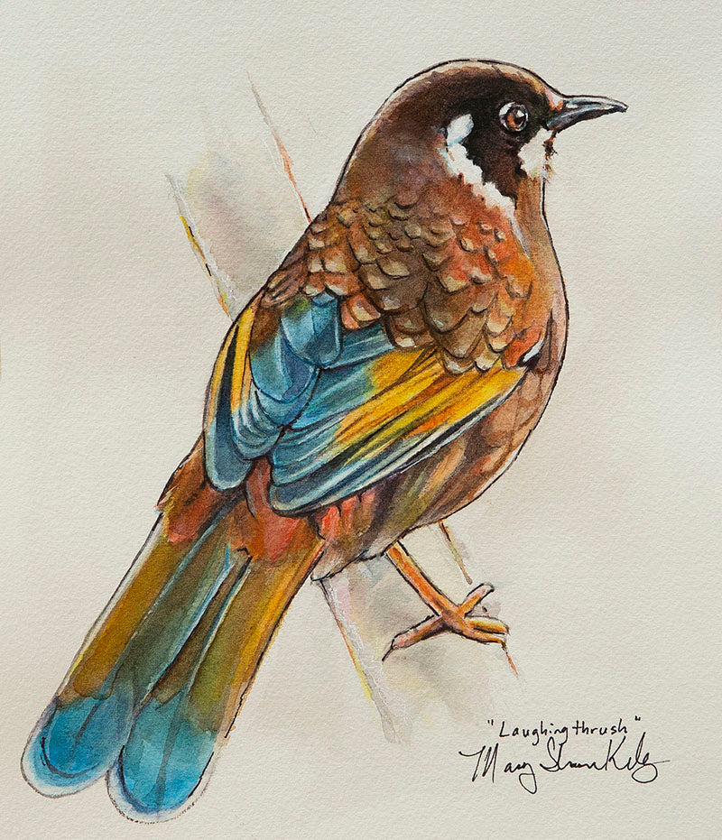 Notecard - Birds